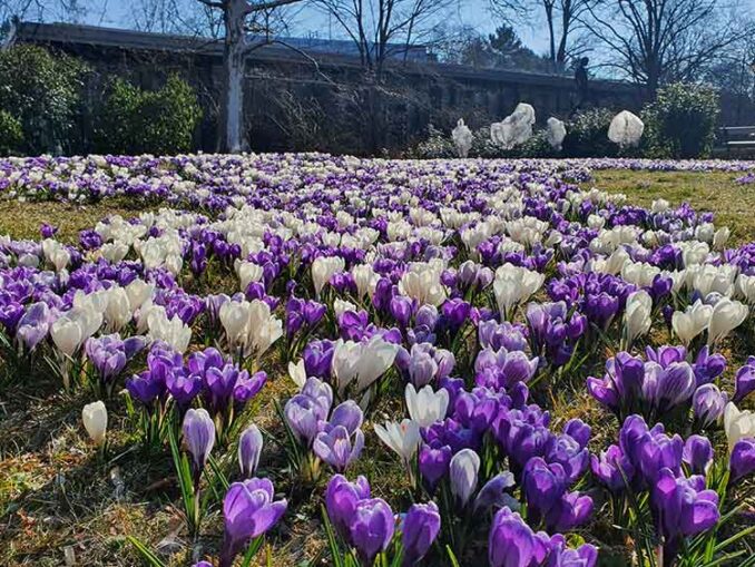 Najciekawsze wydarzenia weekendu