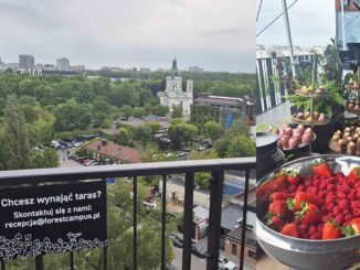 wydarzenie na tarasie widokowym Forest w Warszawie
