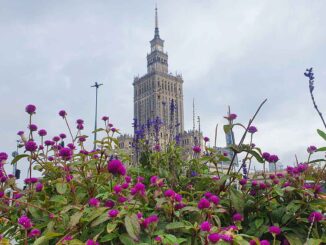 Warszawa na weekend