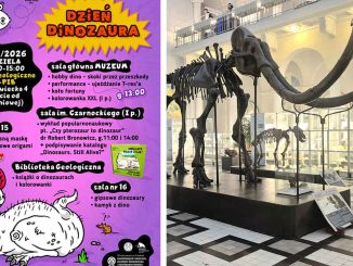 Dzień Dinozaura w Muzeum Geologicznym