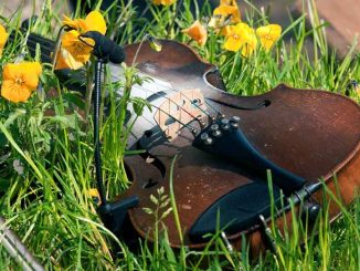 Poniedziałek Mazurkowy na Bielanach 2026