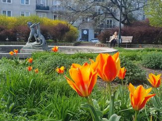 28-29 marca 2026 Warszawa