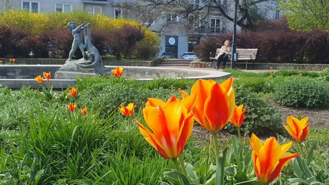 28-29 marca 2026 Warszawa