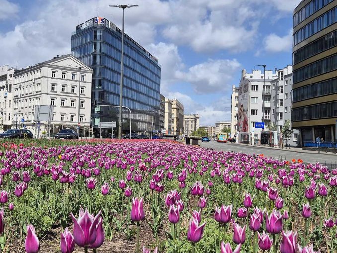 Wydarzenia w Warszawie